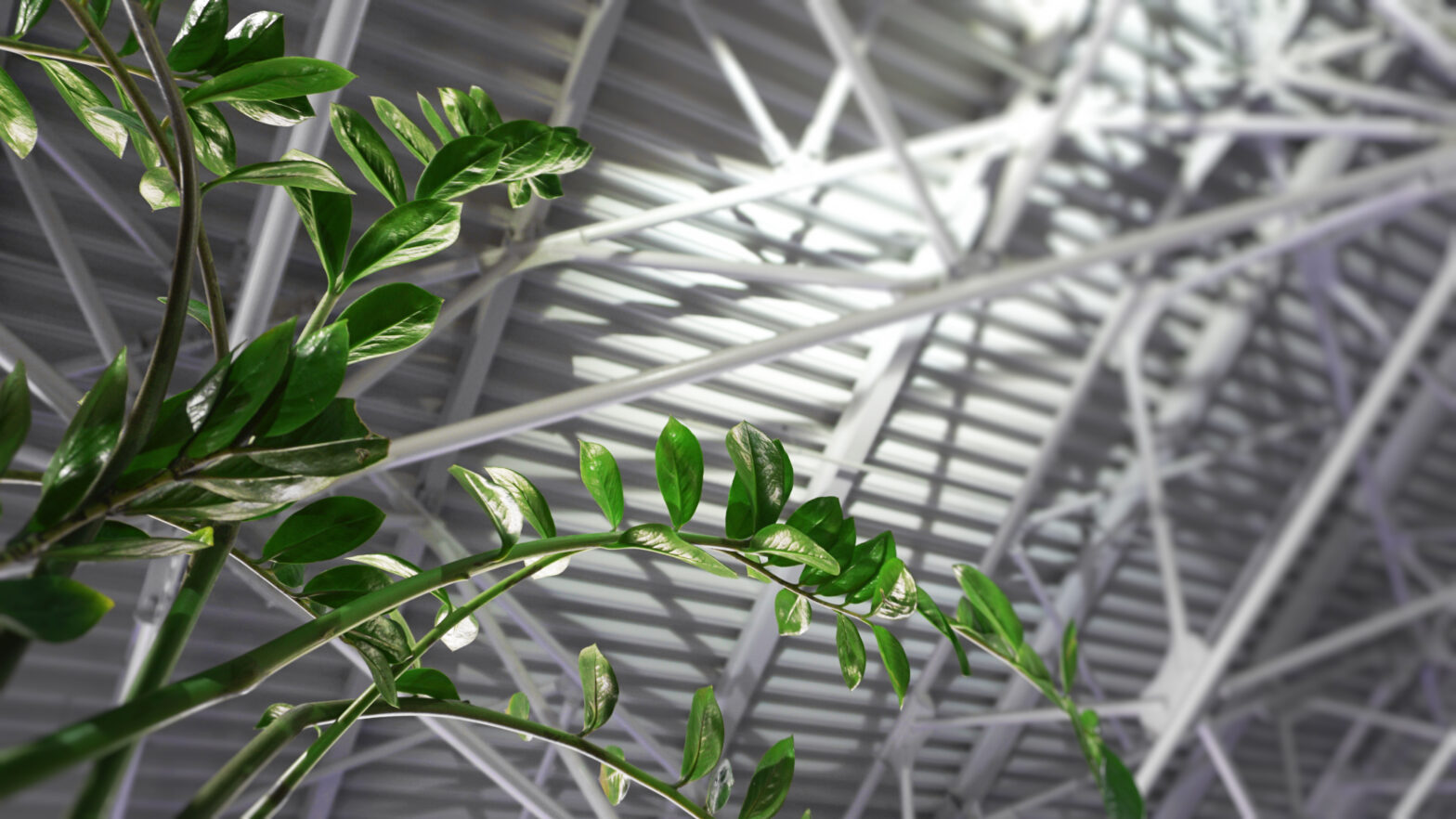 Planta verde crescendo sob uma estrutura metálica moderna em um ambiente de construção, refletindo a harmonia entre natureza e arquitetura industrial