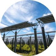 Estrutura Energia Foto Voltáica