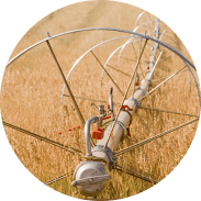 Sistema de Irrigação